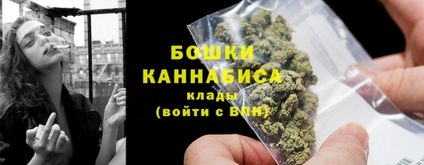 гидра Вязники