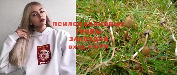 гидра Вязники