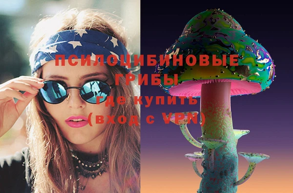 гидра Вязники