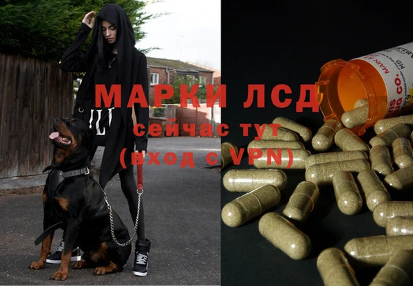 гидра Вязники