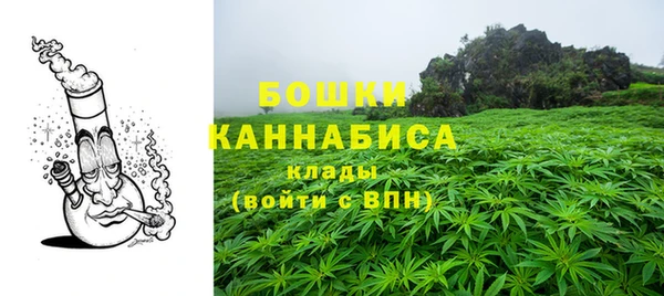 гидра Вязники