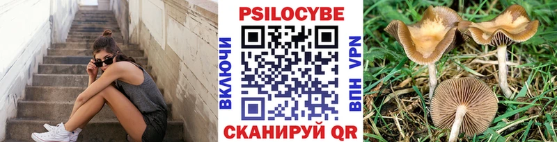 Псилоцибиновые грибы MAGIC MUSHROOMS  где купить   Пятигорск 